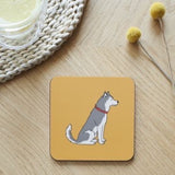 Husky coaster