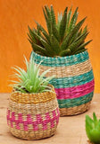 Stripe Seagrass Planter Set