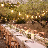 Festoon outdoor lights