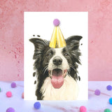 Border collie Pom Pom birthday card