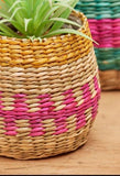 Stripe Seagrass Planter Set