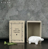 Let’s grow old together tortoise matchbox east of india