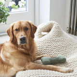 Tweed Dog Bone Green - Sweet William
