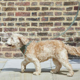 Tweed Dog Bandana - Green