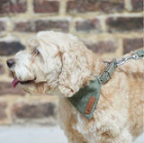 Tweed Dog Collar - Green