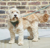 Tweed Dog Lead  - Green