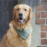 Tweed Dog Bandana - Green