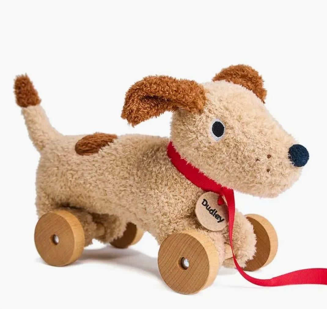 Dudley Pull Along Dog for Toddlers - Threadbear Designs