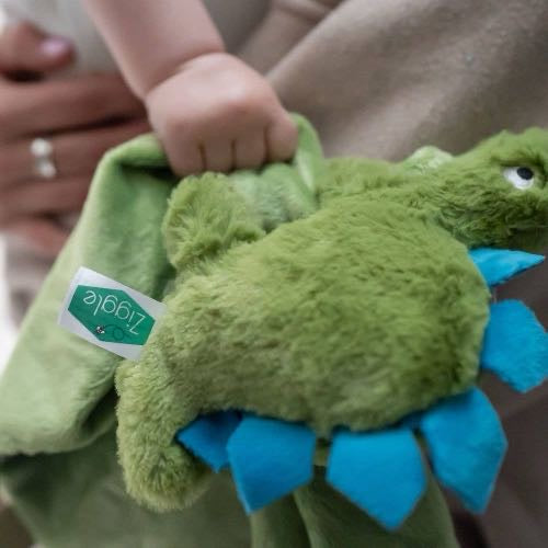 Dino Plush Baby/Toddler Comforter Blanket