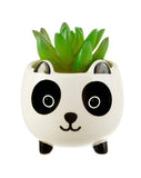 Mini Panda Planter - Sass & Belle