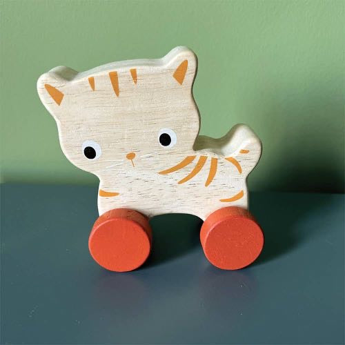 Mentari Kitten On Wheels