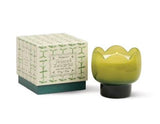TULIP GREEN GLASS SOY CANDLE - VERBENA & LEMONGRASS