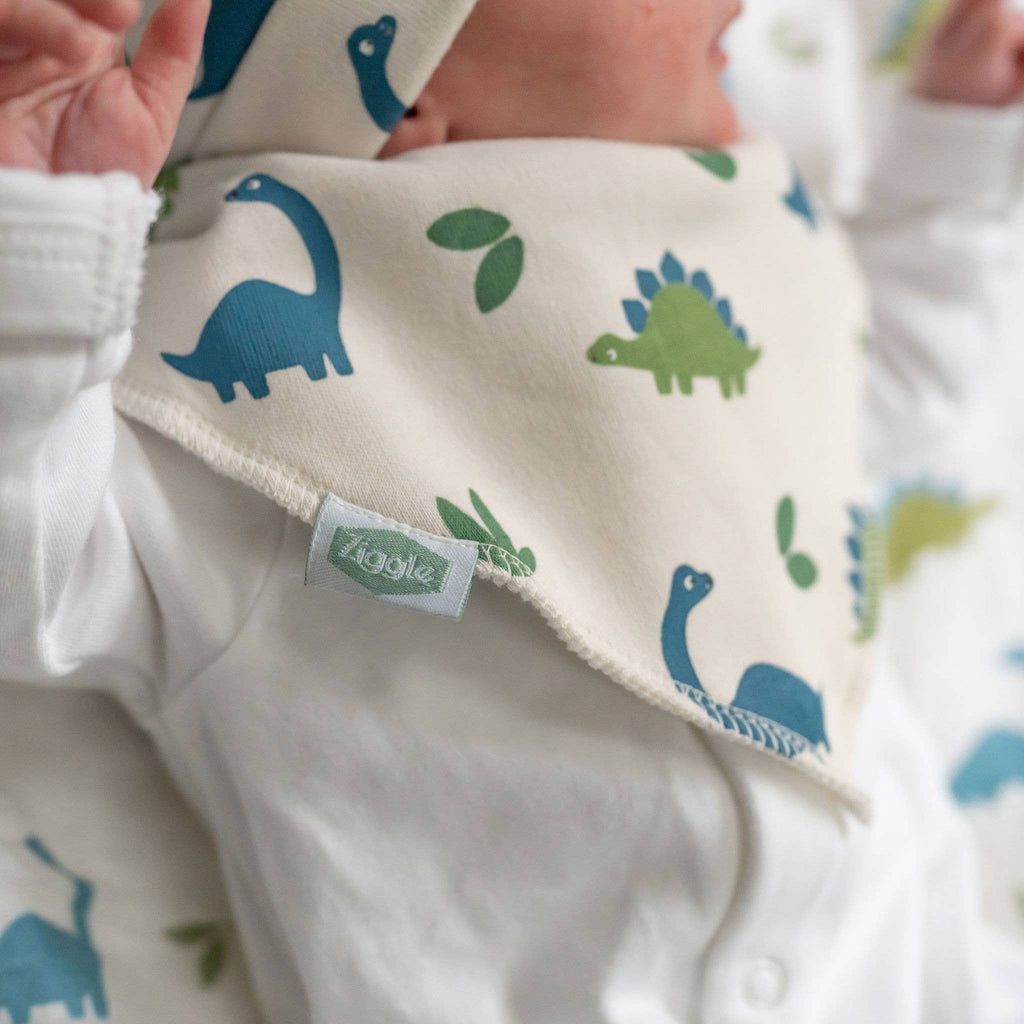 Ziggle Baby Bandana Bib — Dinosaur Print, Dribble Bib for Babies & Toddlers
