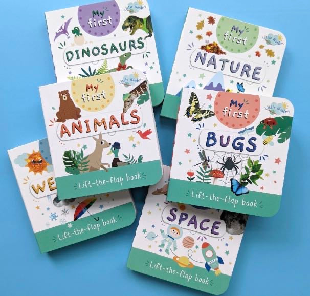 Little Wonders My First Mini Lift The Flap Book: Bugs
