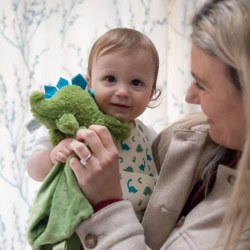 Dino Plush Baby/Toddler Comforter Blanket