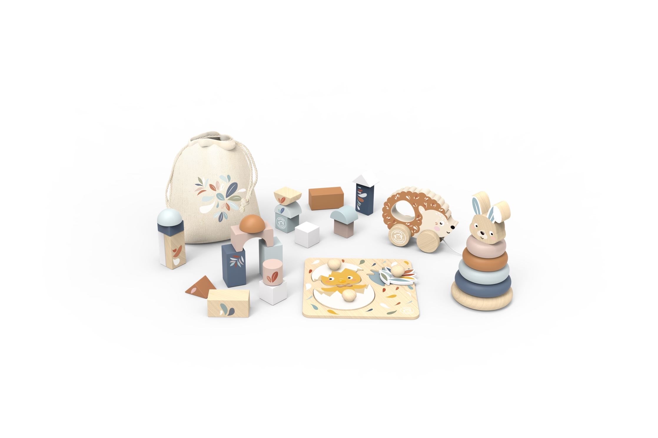 My First Toy Box (Wooden Toys)