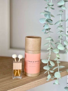 Citrus Fruits & Spice Car Diffuser