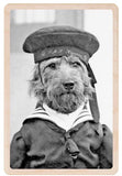 HMS Dog Wooden Postcard - The Wooden Postcard Company