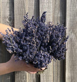 Dried Lavender Bunch- East of India