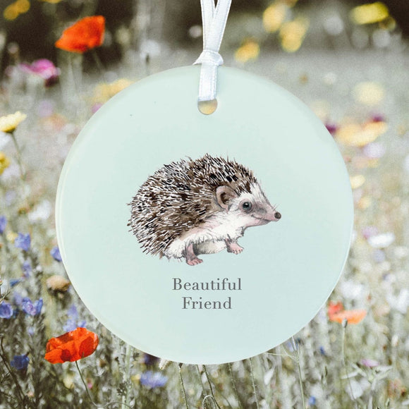 Beautiful Friend Hanging Hedgehog Decoration - Keepsake - Friend Gift
