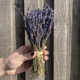 Dried Lavender Bunch- East of India