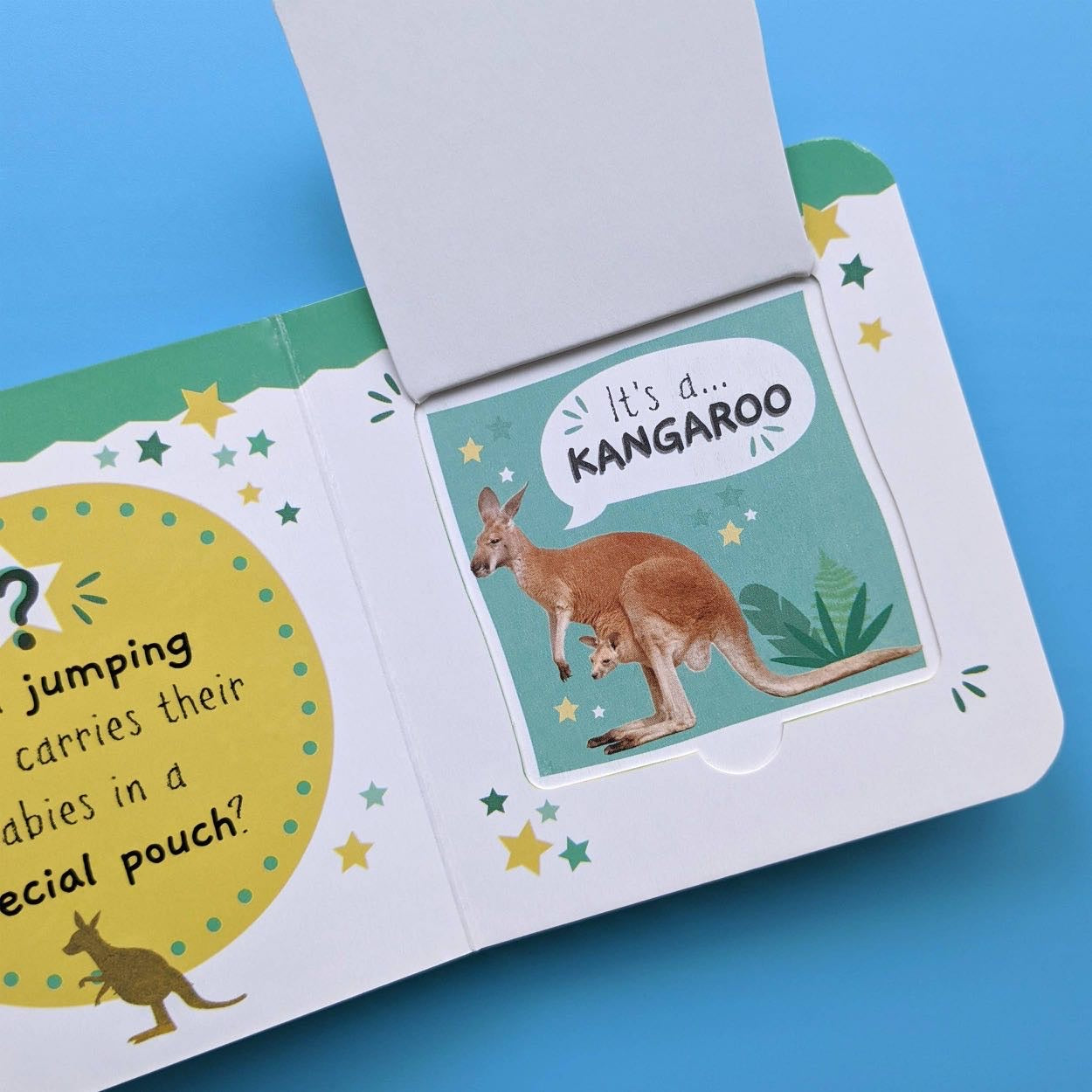 Little Wonders My First Mini Lift The Flap Book - Animals