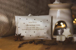 Christmas soy wax melts 