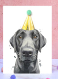 Black Labrador Pompom Birthday Card