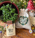Shamrock wild flower seed bombs 