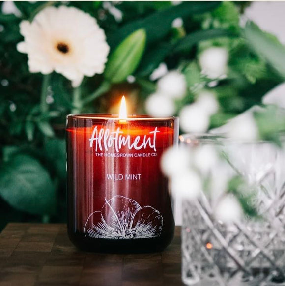 Wild Mint Candle- Allotment Candle