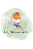 Robin Print (A5 & A4) - Parful Stuff
