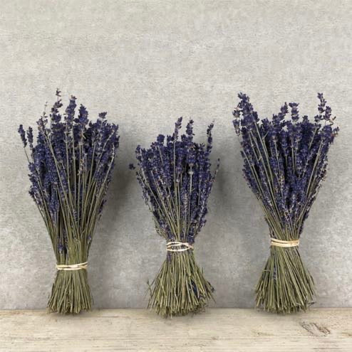 Dried lavendar bunch - east of india 