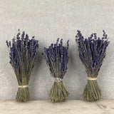 Dried lavendar bunch - east of india 
