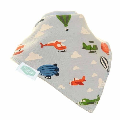 Airplanes Bib