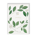 So Sorry sympathy card with botanical leaf wreath and white flowers