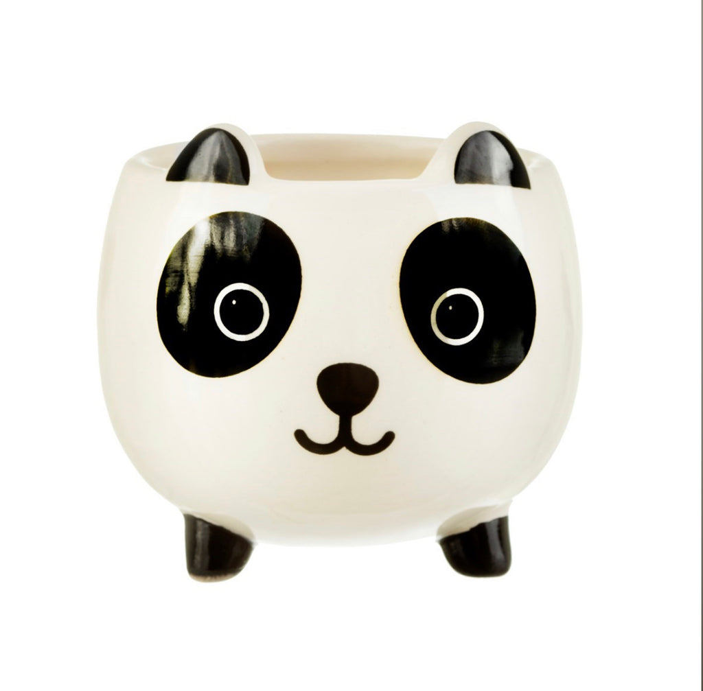 Mini panda plant holder from sass and Belle 