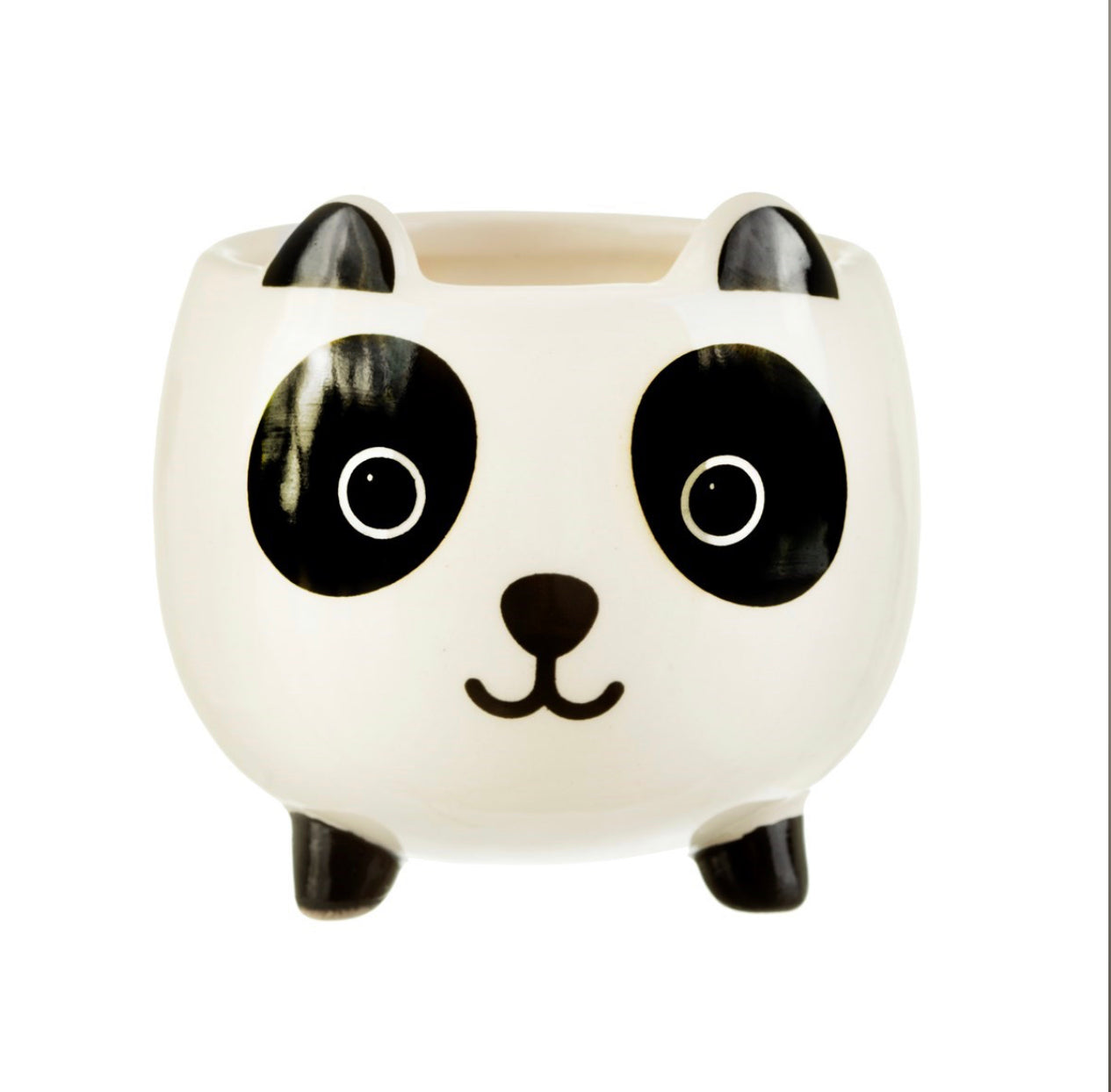 Mini panda plant holder from sass and Belle 