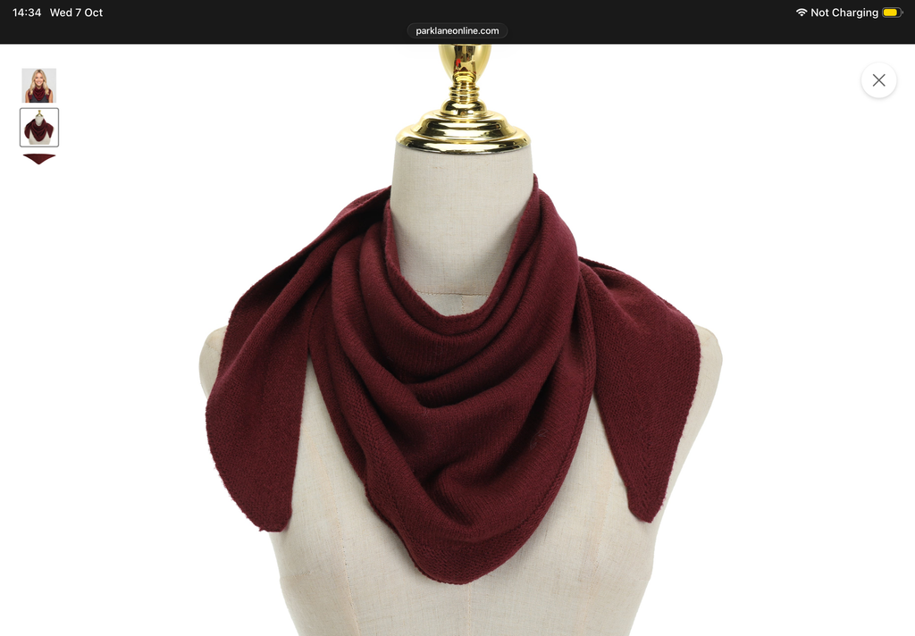 Knit Bandana Scarf with Cream Stripe Trim