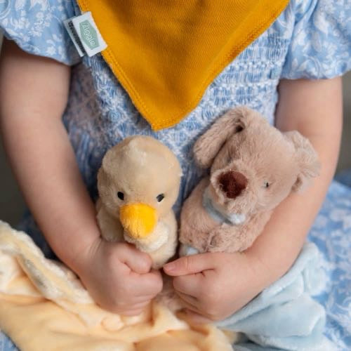 Duck Plush Comforter Blanket