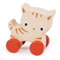 Mentari Kitten On Wheels