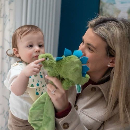 Dino Plush Baby/Toddler Comforter Blanket