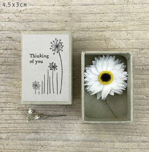 Thinking Of You Dried Flower Matchbox - East Of India