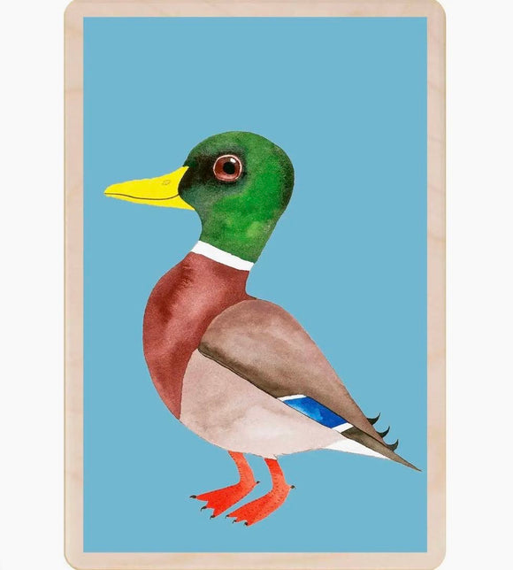 Mallard Duck Wooden Postcard - The Wooden Postcard Company
