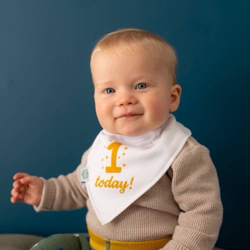 Ziggle "1 Today!" Baby Bandana Bib — First Birthday Gift