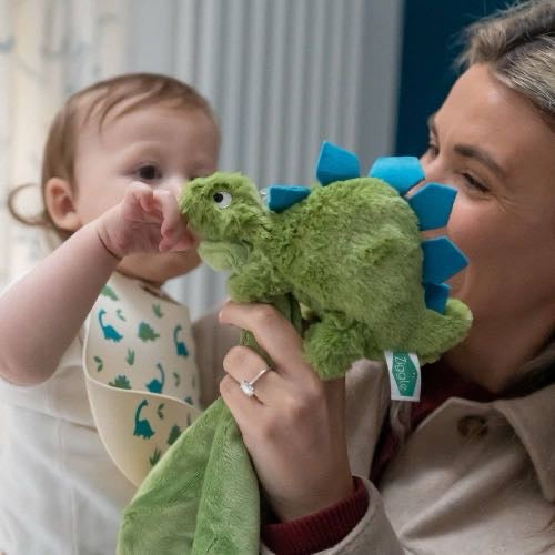 Dino Plush Baby/Toddler Comforter Blanket