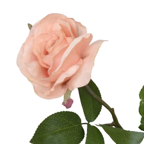 Artificial Open Rose Light Peach 54 cm Tall
