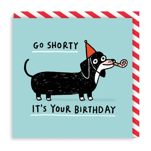 Go Shorty Square Dog Greeting Card