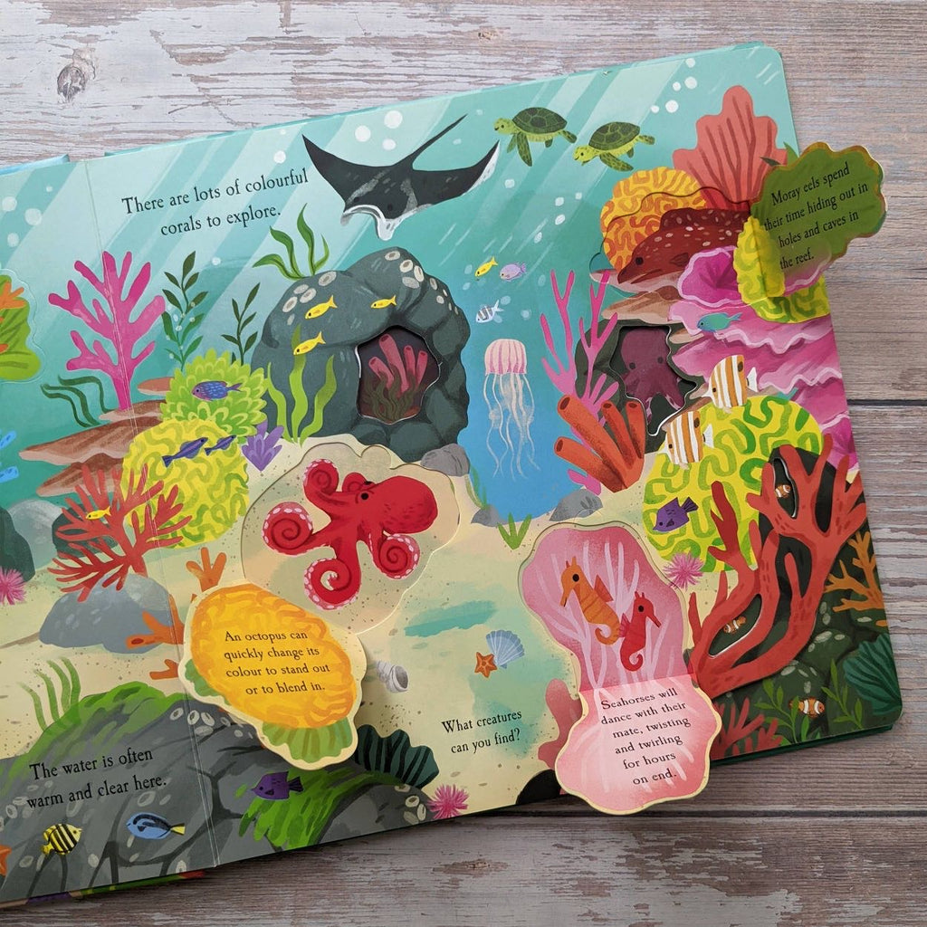 The Ocean Die Cut Book - Nature Book
