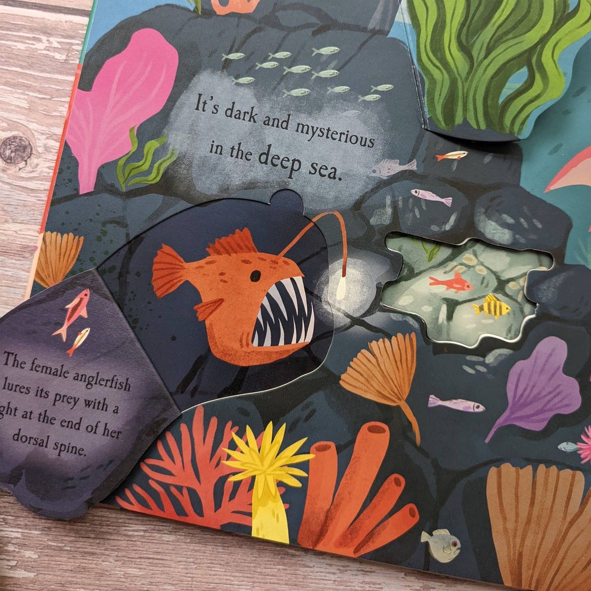 The Ocean Die Cut Book - Nature Book