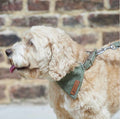 Tweed Dog Bandana - Green